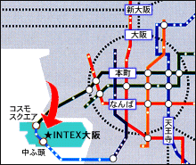 intex map